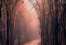 开云体育官方网站-雪夜烽烟散：俄罗斯冰堡坍塌之夜，波兰铁骑踏碎的不只是比分