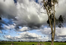 开云官方app入口-热刺遭遇主场失利，遭遇三连败