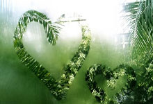 开云官方app入口-热刺遭遇主场失利，遭遇三连败