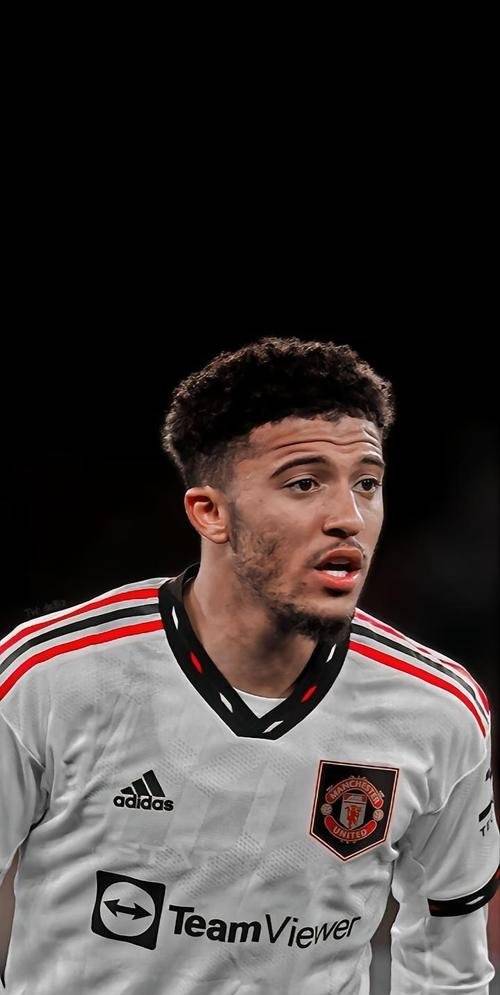 关于谢尔迪莱纳主场战平，积分榜位置不变的信息