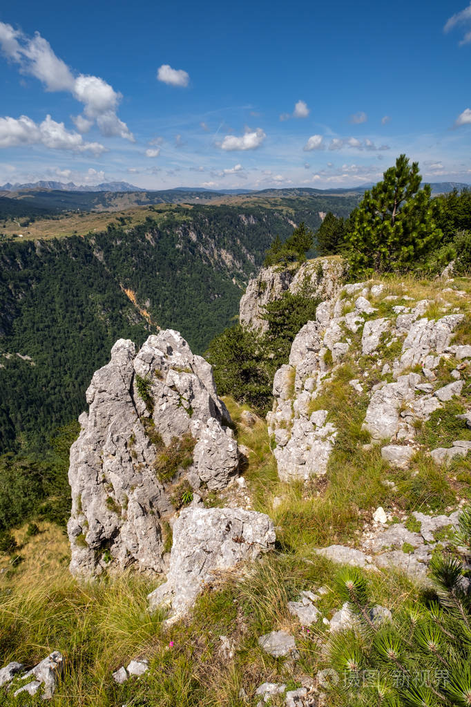 蒙特内哥罗球员为国家荣誉而战 蒙特内哥罗球员为国家荣誉而战