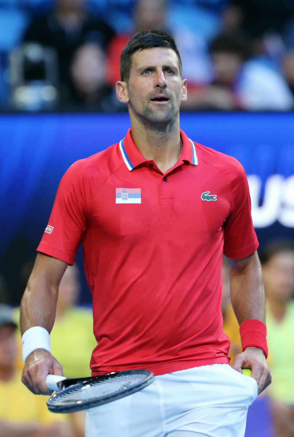 塞尔维亚队殊死争夺,无缘晋级四分之一决赛的简单介绍 塞尔维亚队殊死争夺,无缘晋级四分之一决赛的简单介绍