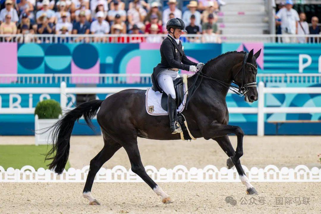 莱比锡摔跤锦标赛亚洲拳王季军登顶